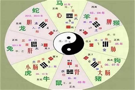 升五行|[汉字升的五行属性是什么